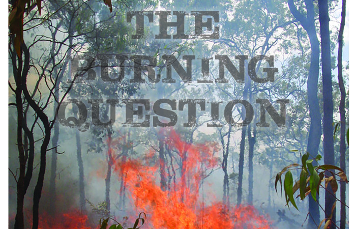 The-Burning-Question