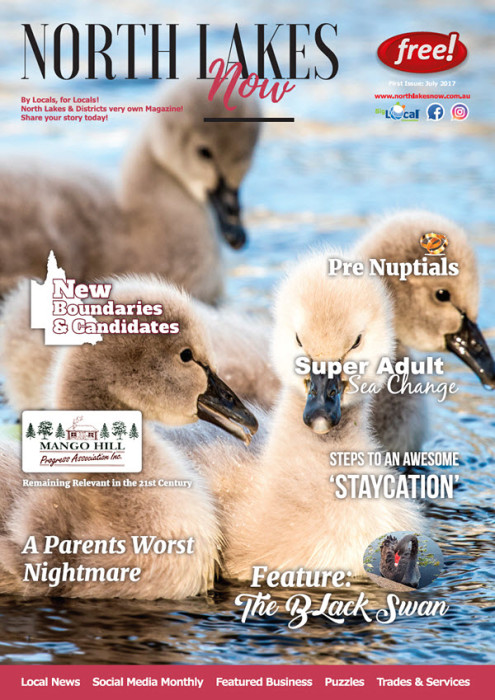 north-lakes-now-first-edition-july-2017